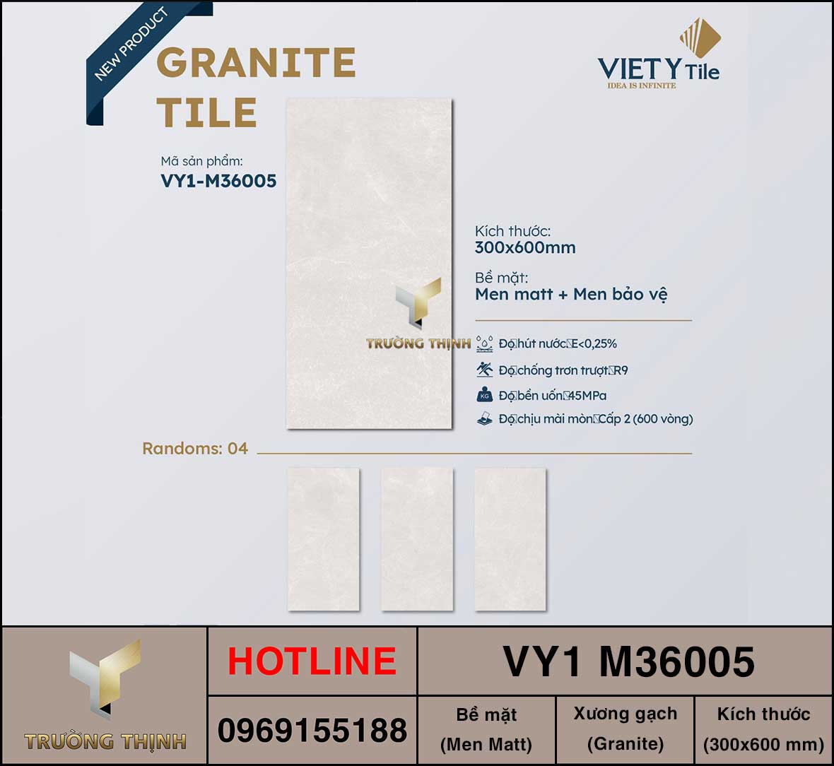 Gạch ốp lát 300x600 Việt Ý VY1 M36005