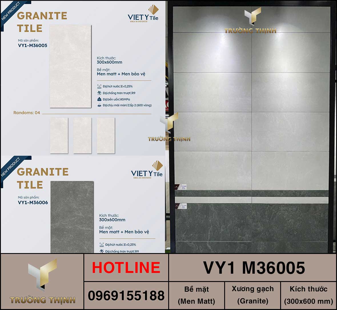 Gạch ốp lát 300x600 Việt Ý VY1 M36005