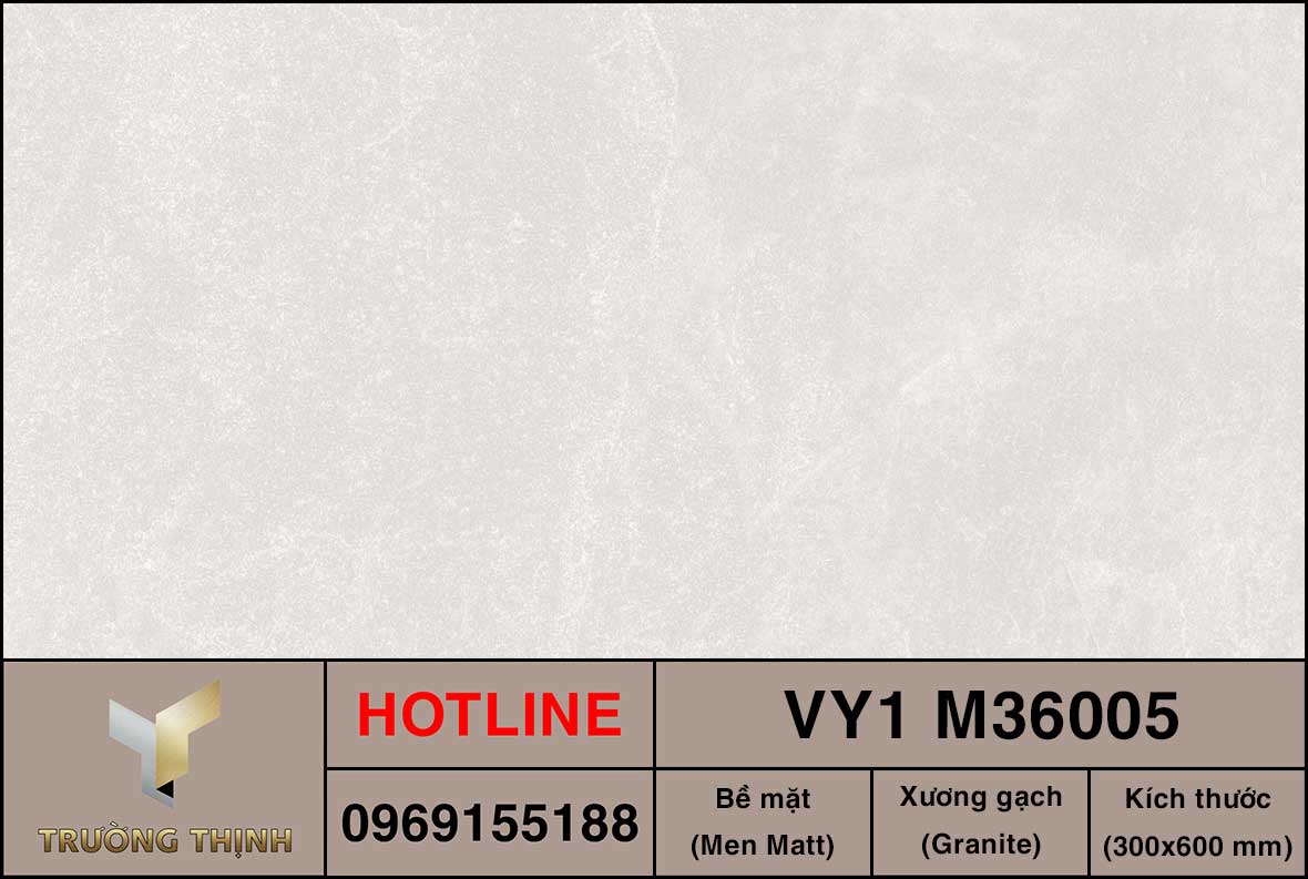 Gạch ốp lát 300x600 Việt Ý VY1 M36005