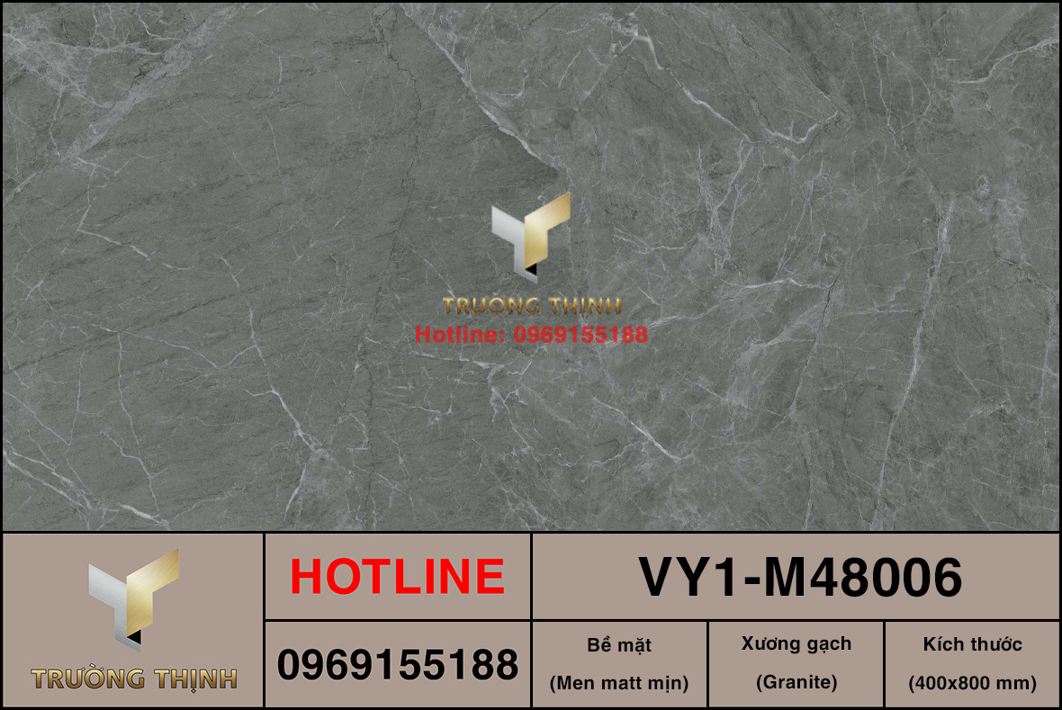Gạch ốp lát 400x800 Việt Ý VY1-M48006