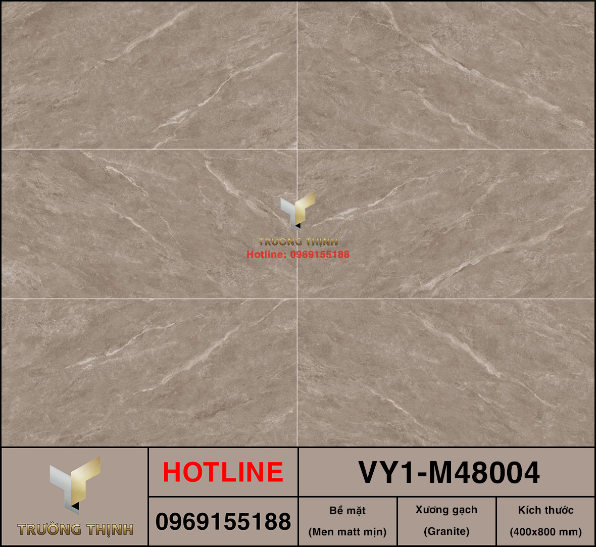 Gạch ốp lát 400x800 Việt Ý VY1-M48004
