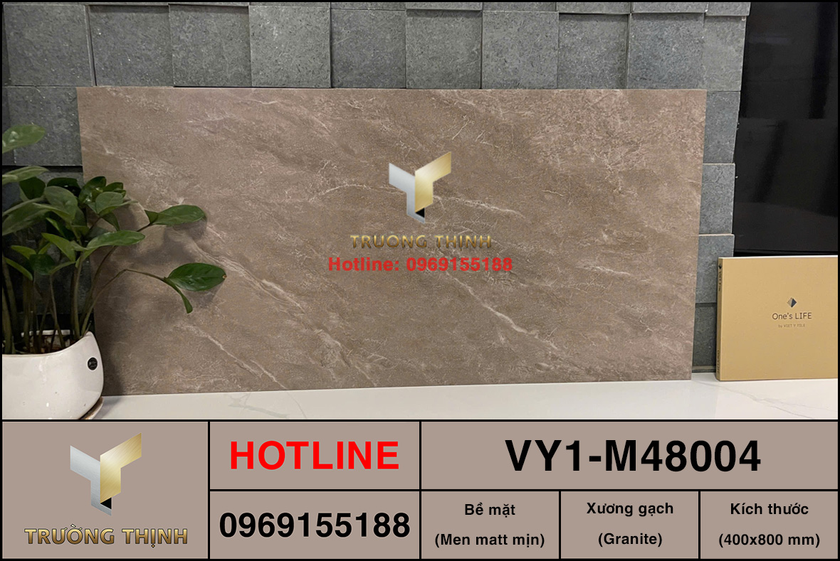 Gạch ốp lát 400x800 Việt Ý VY1-M48004