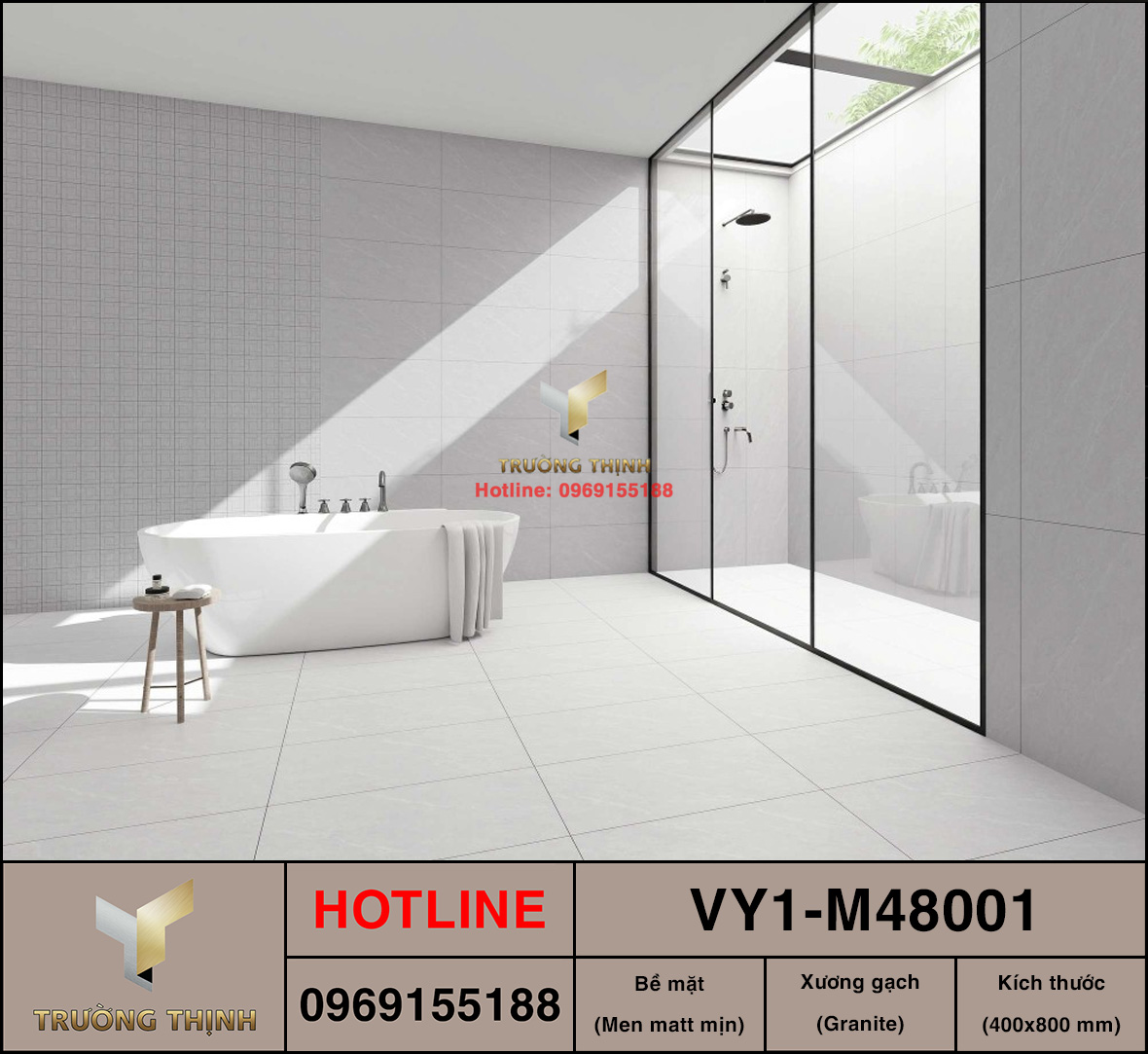 Gạch ốp lát 400x800 Việt Ý VY1-M48001