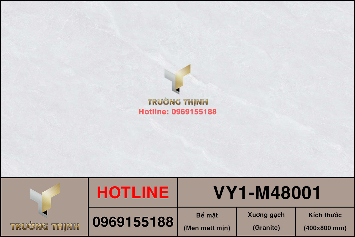 Gạch ốp lát 400x800 Việt Ý VY1-M48001