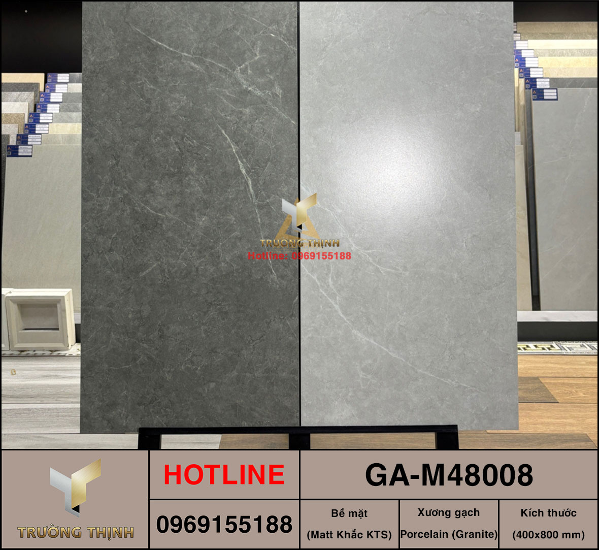 GA-M48008