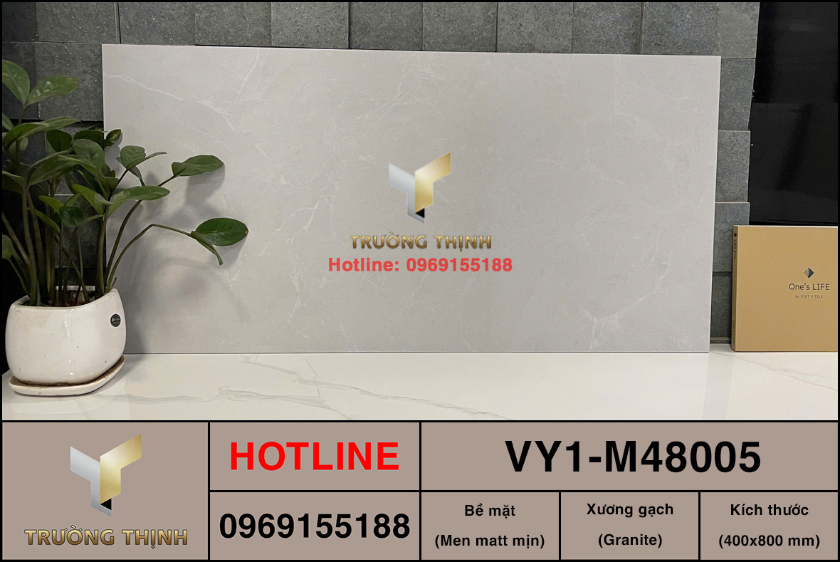 Gạch ốp lát 400x800 Việt Ý VY1-M48005