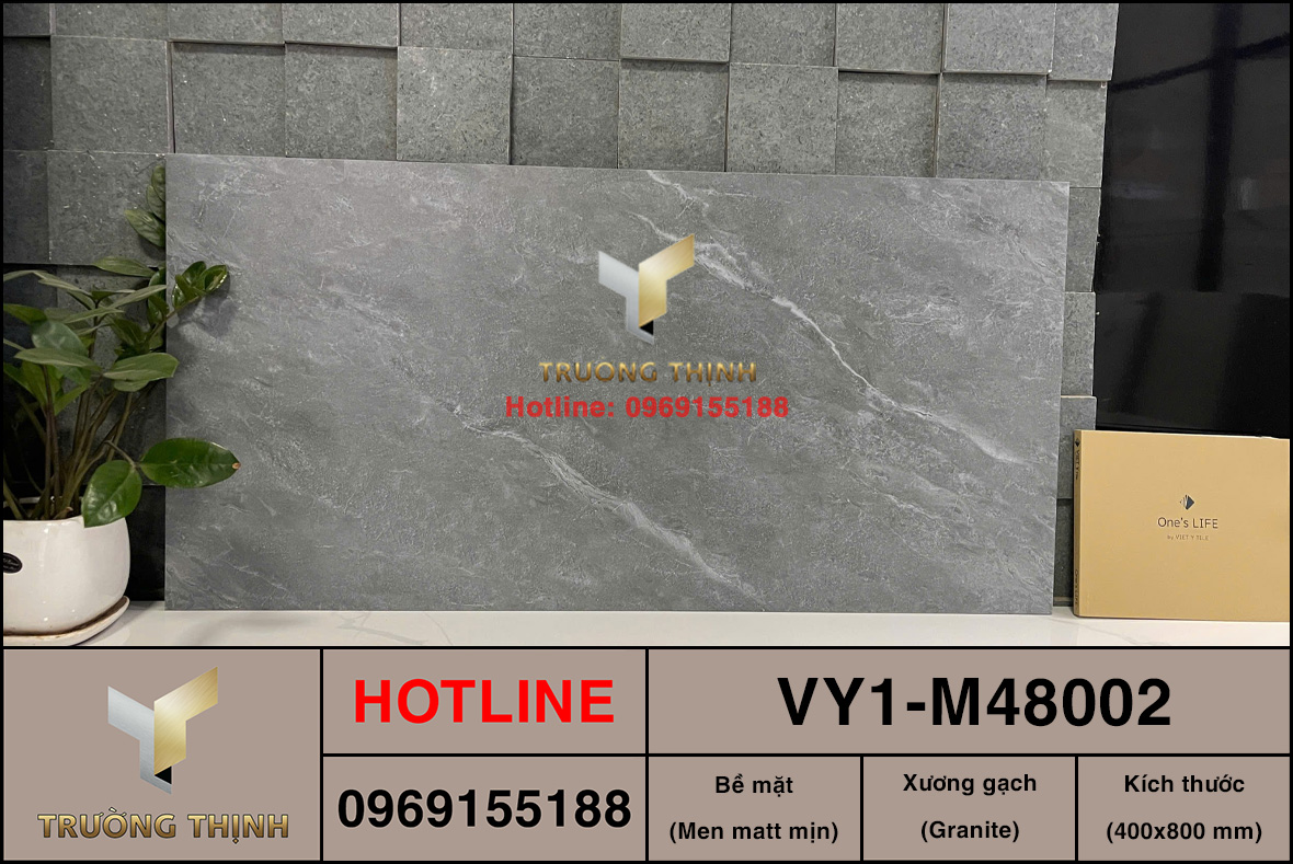 Gạch ốp lát 400x800 Việt Ý VY1-M48002