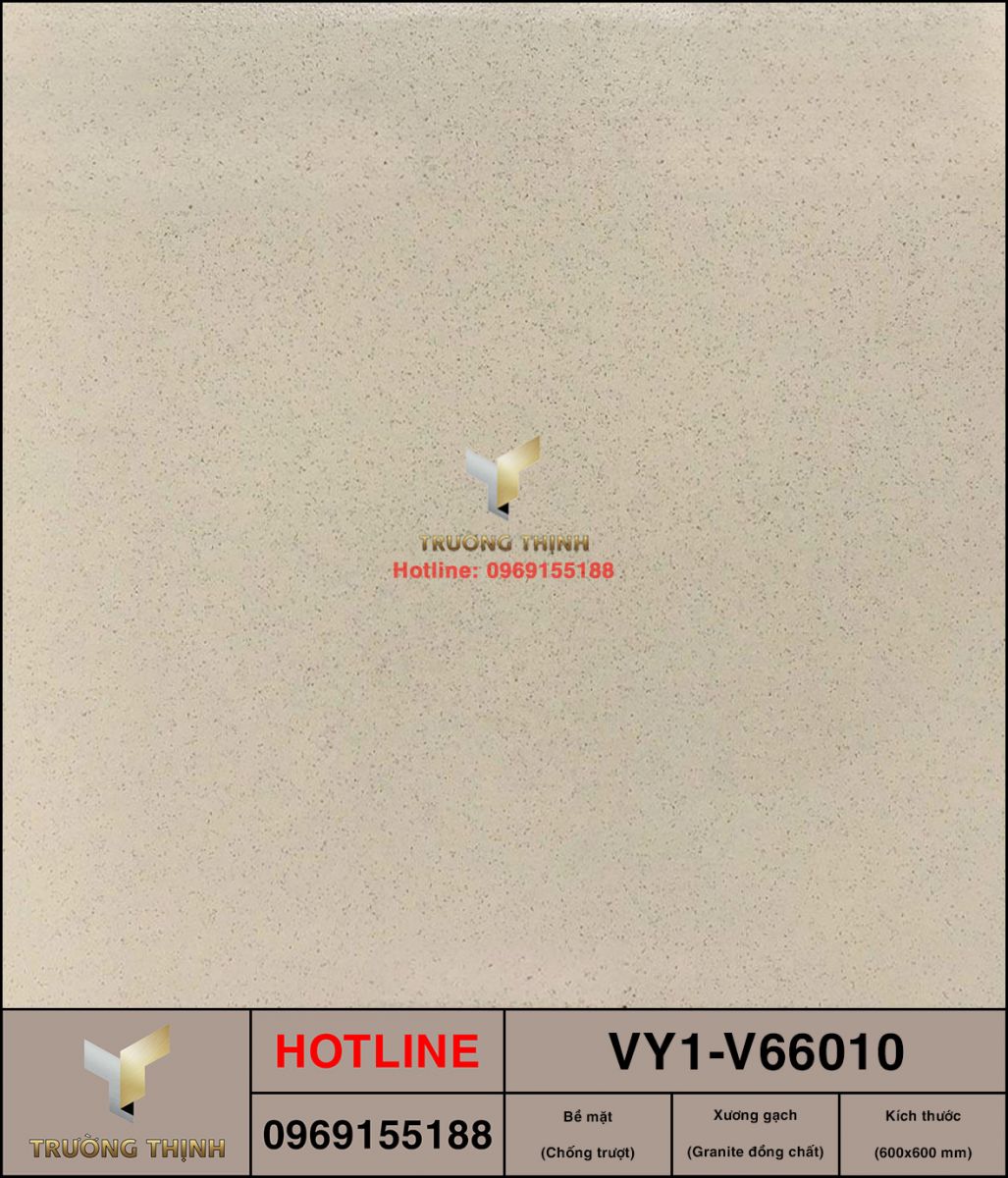 Gạch granite đồng chất 600x600 Việt Ý Nam Định VY1-V66010
