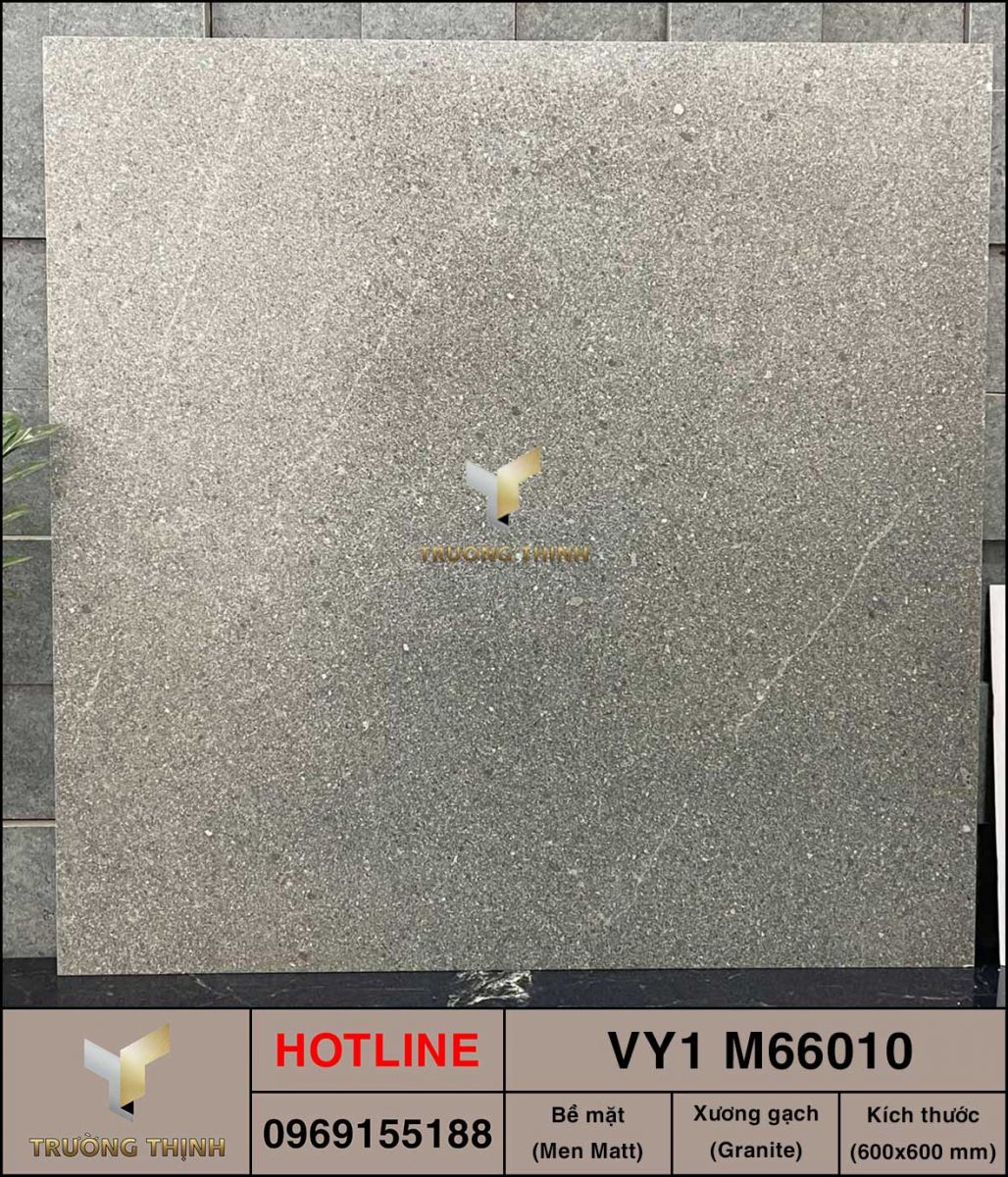 Gạch 600x600 Việt Ý VY1 M66010