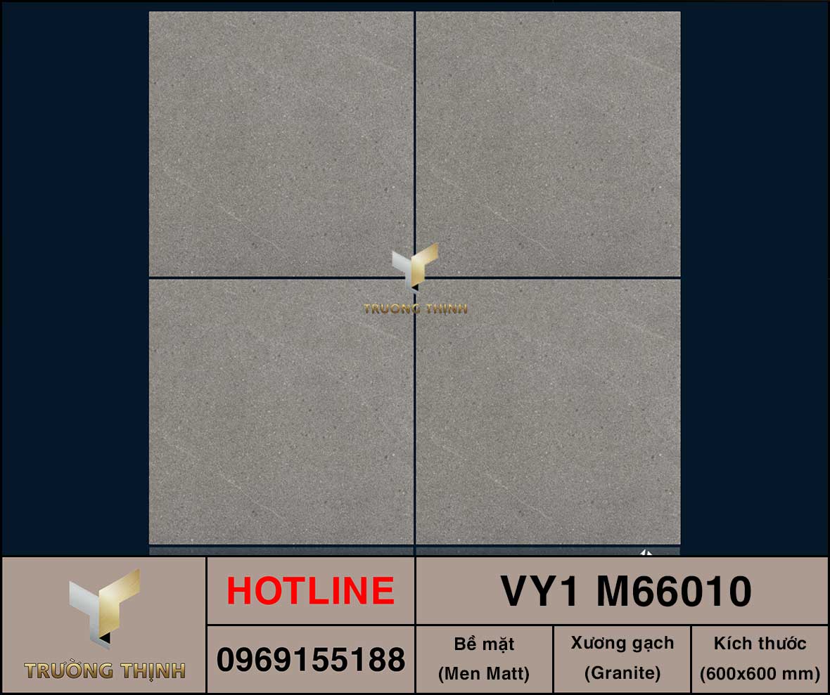 Gạch 600x600 Việt Ý VY1 M66010