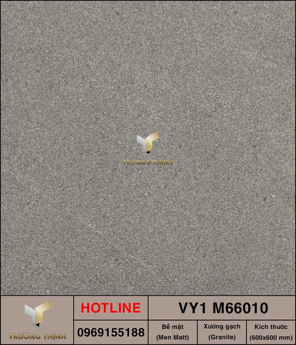 Gạch 600x600 Việt Ý VY1 M66010