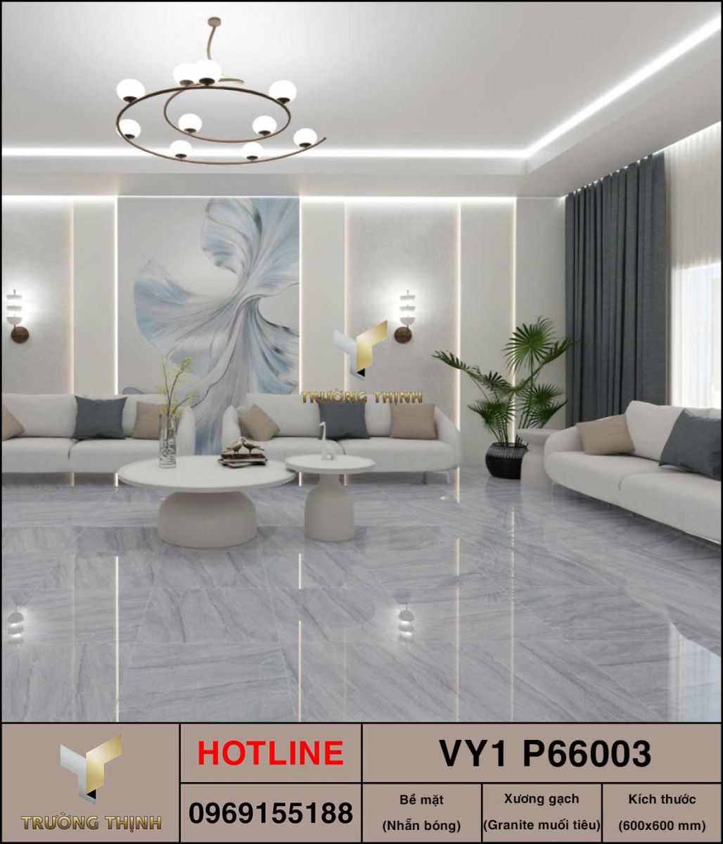 Gạch granite giả đá 600x600 Việt Ý VY1 P66003