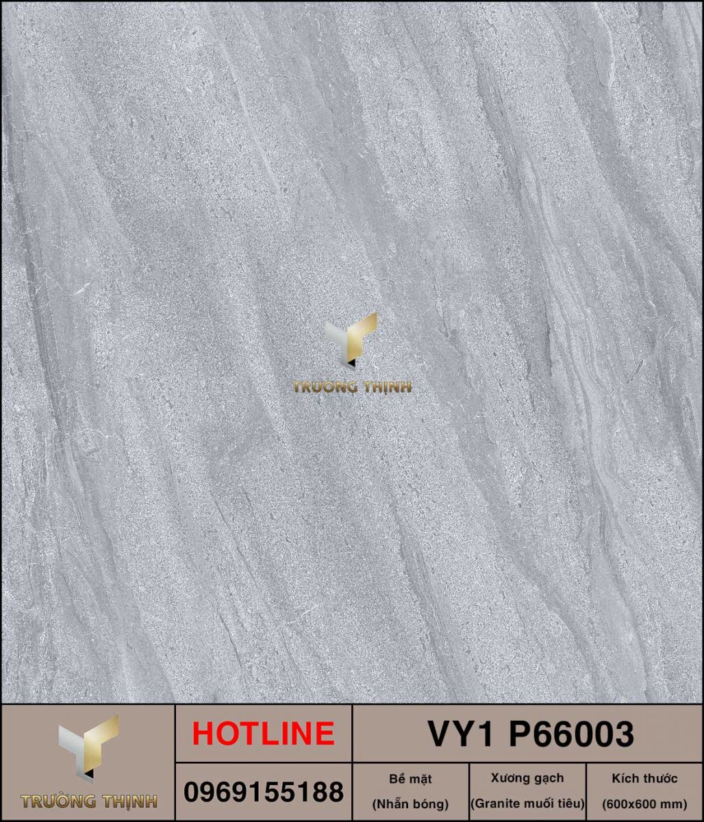 Gạch 600x600 Việt Ý VY1 P66003