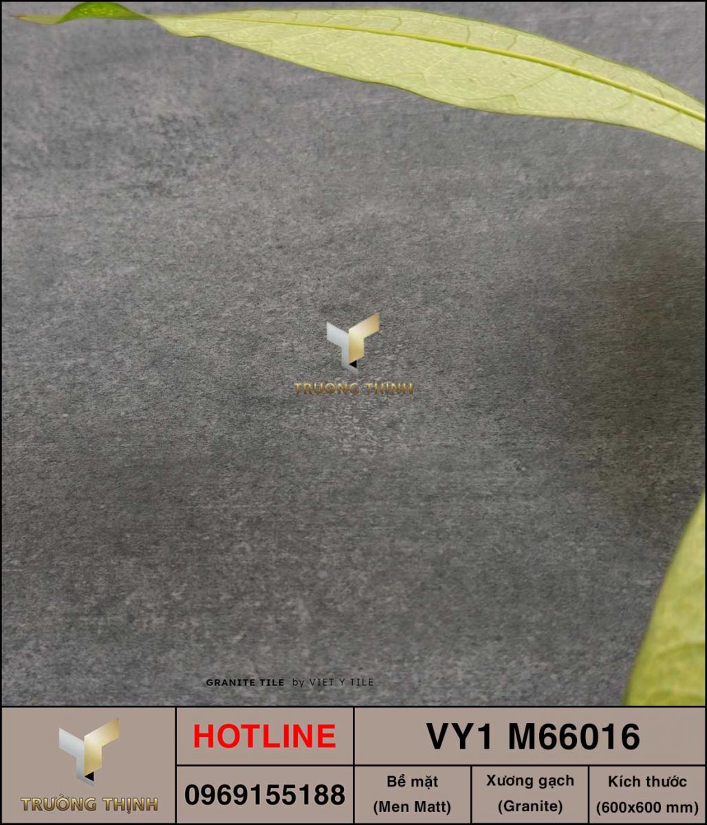 Gạch 600x600 Việt Ý VY1 M66016