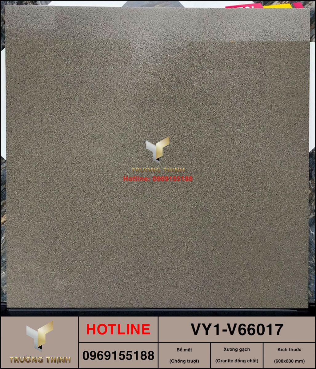 Gạch granite đồng chất 600x600 Việt Ý Nam Định VY1-V66017