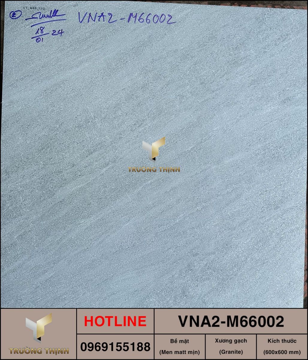 Gạch 600x600 Việt Ý VNA2-M66002