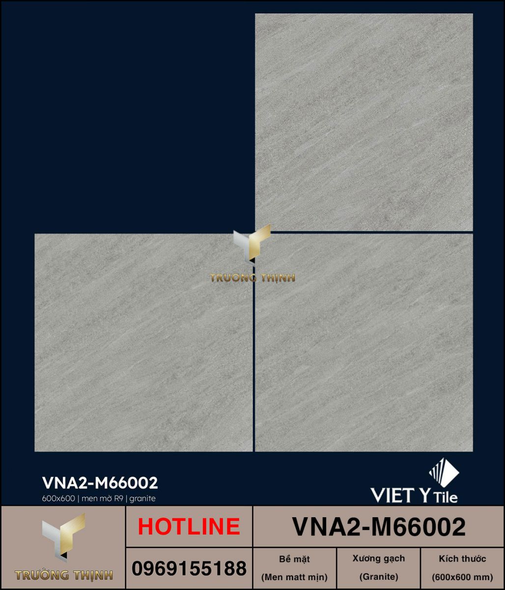 Gạch 600x600 Việt Ý VNA2-M66002