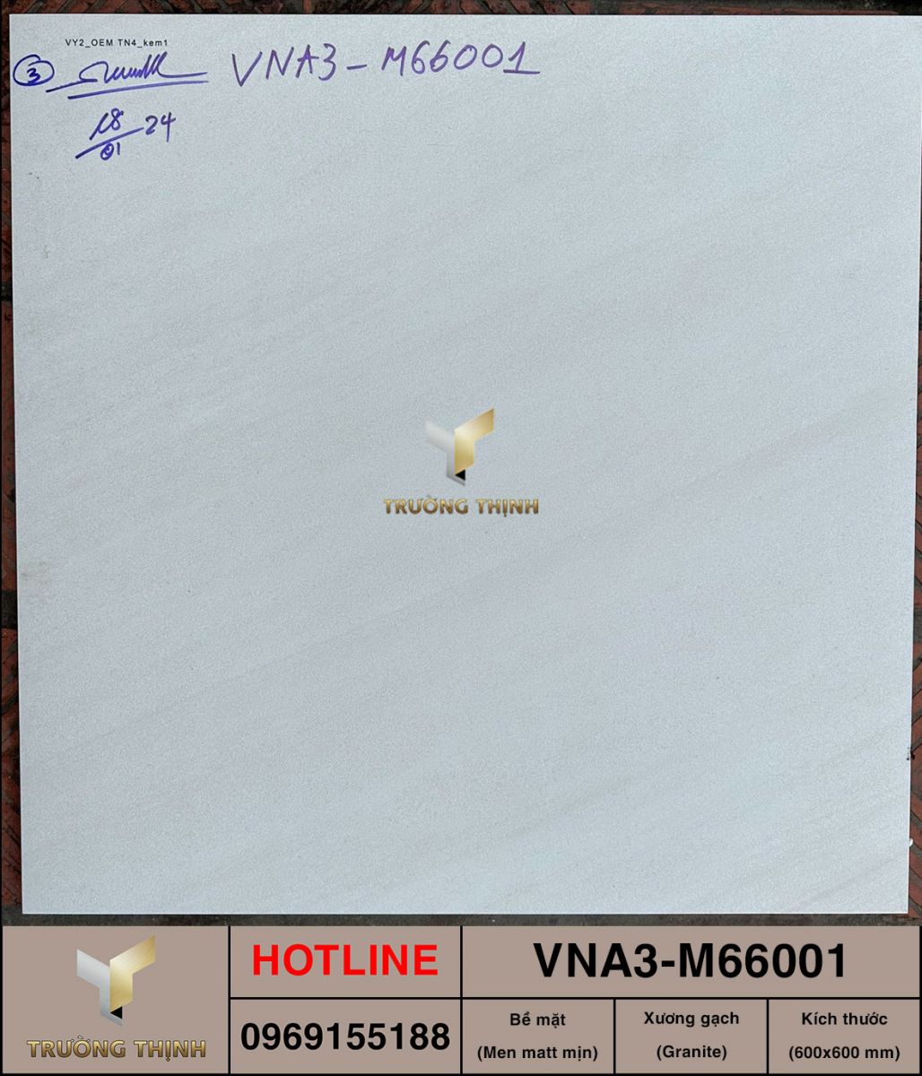 Gạch 600x600 Việt Ý VNA3-M66001