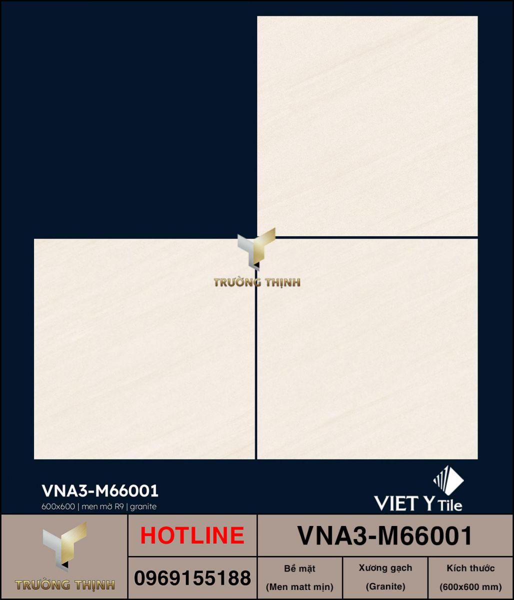 Gạch 600x600 Việt Ý VNA3-M66001