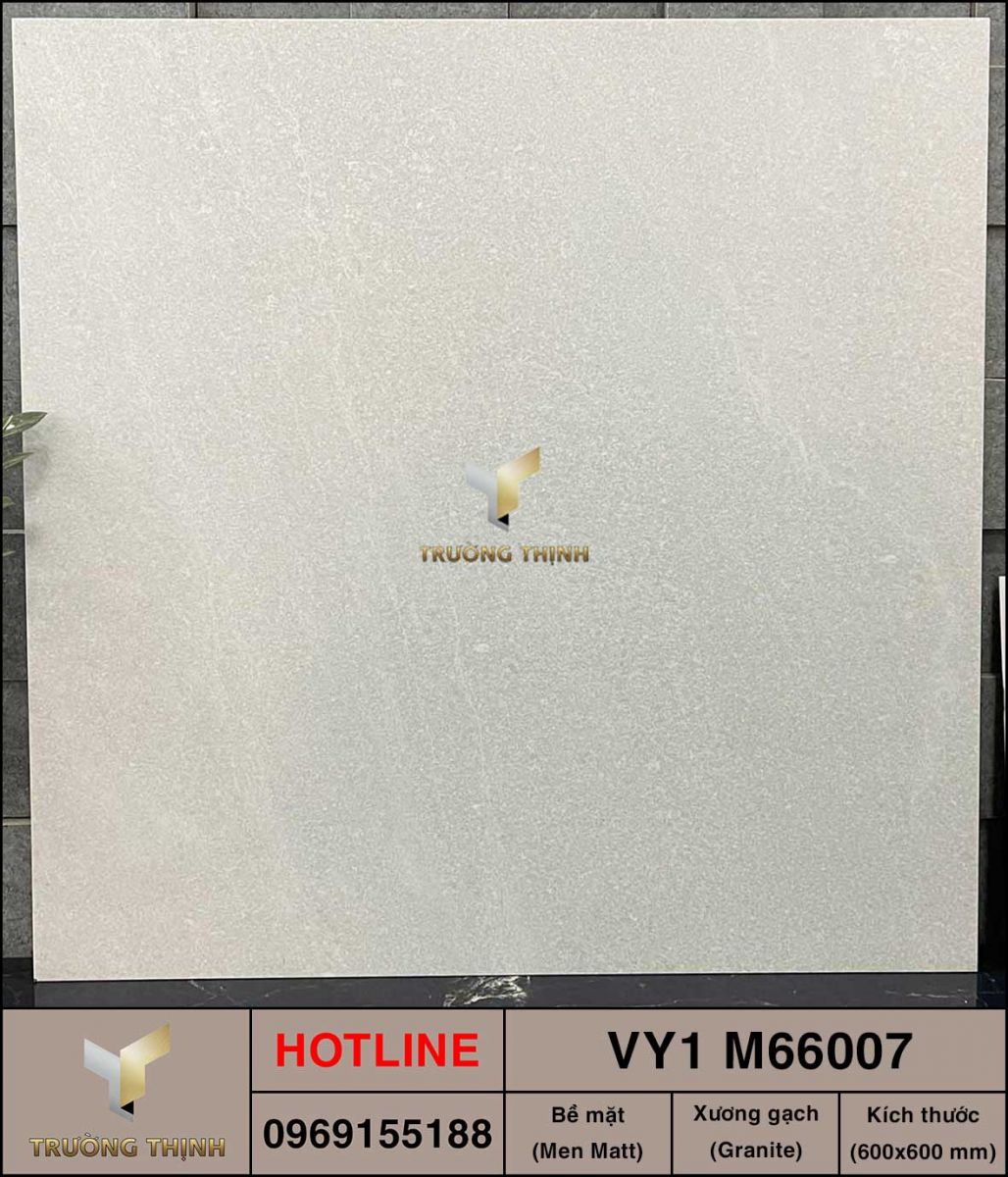Gạch 600x600 Việt Ý VY1 M66007