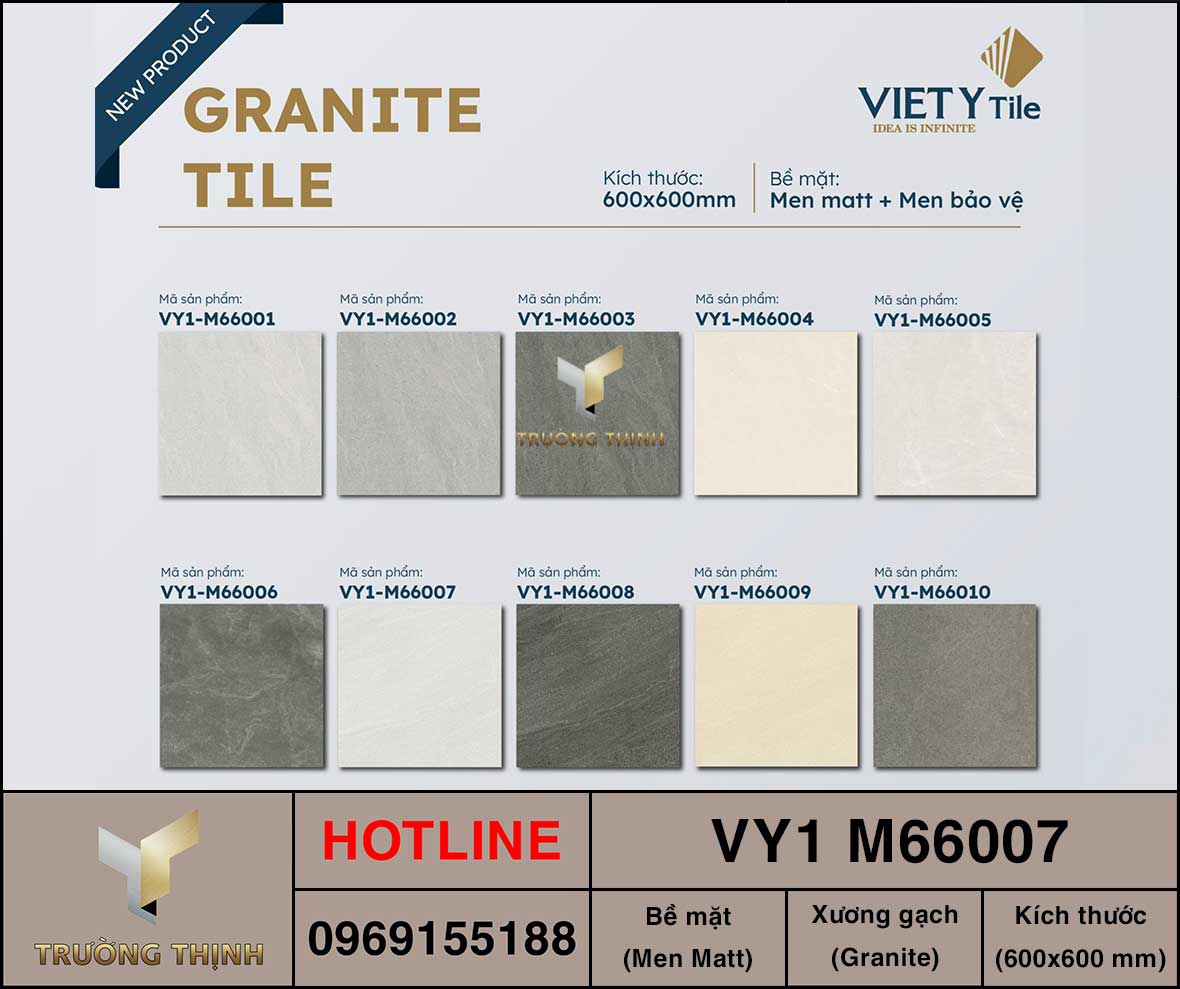 Gạch 600x600 Việt Ý VY1 M66007