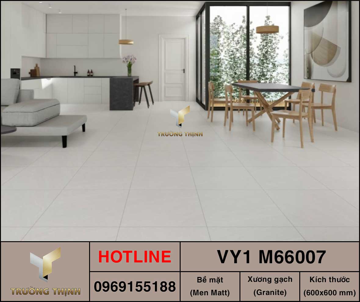 Gạch granite vân đá 600x600 Việt Ý VY1 M66007