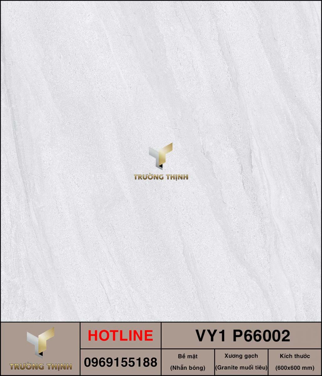 Gạch 600x600 Việt Ý VY1 P66002