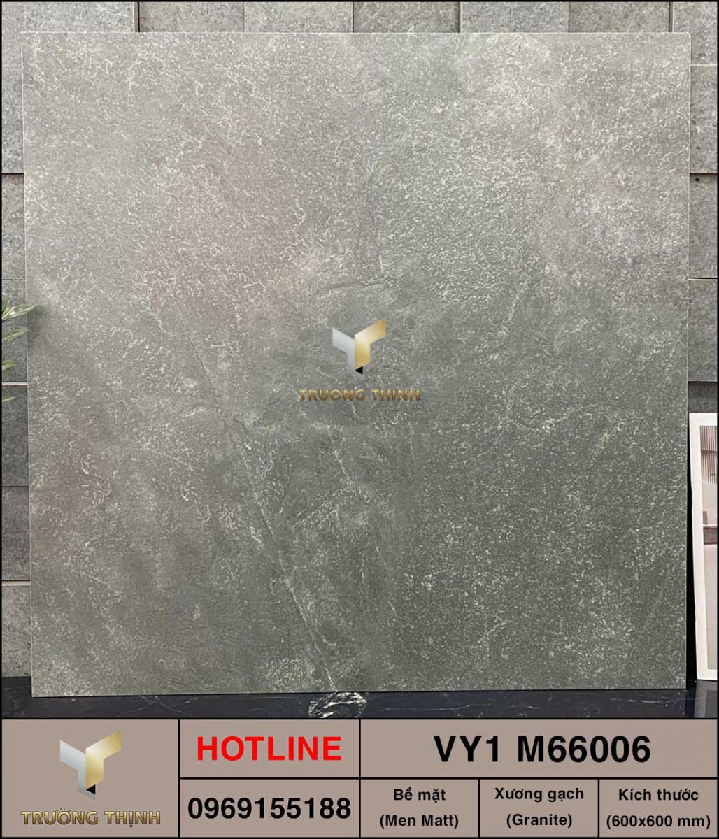 Gạch 600x600 Việt Ý VY1 M66006