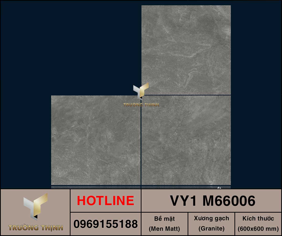 Gạch 600x600 Việt Ý VY1 M66006
