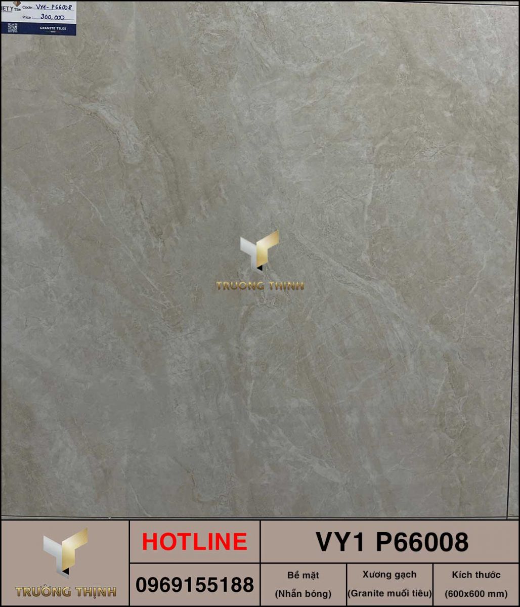 Gạch 600x600 Việt Ý VY1 P66008 ảnh thực tế đang được trưng bày tại Showroom