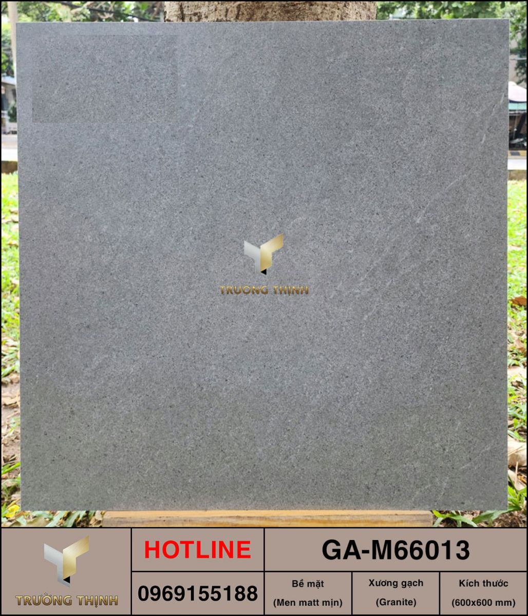 Gạch 600x600 Việt Ý GA-M66013