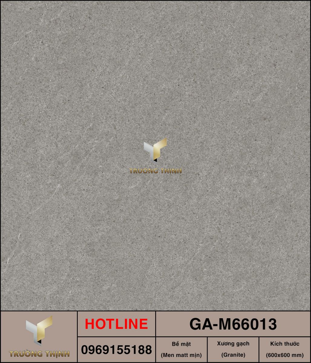 Gạch 600x600 Việt Ý GA-M66013