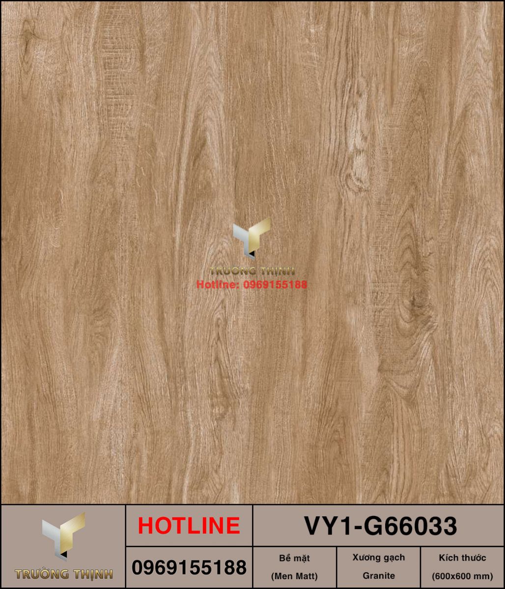 Gạch lát nền vân gỗ 600x600 Việt Ý VY1-G66033