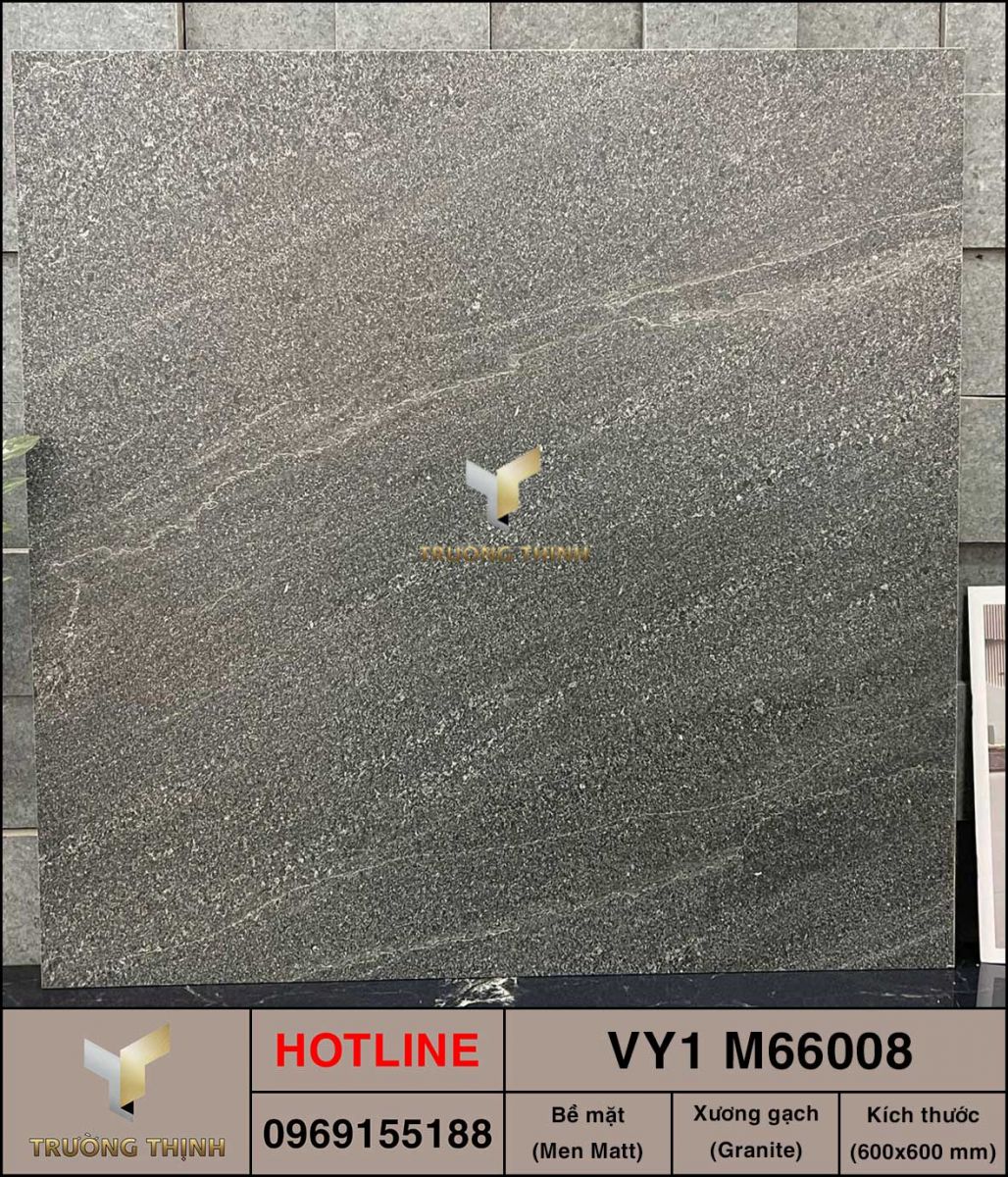 Gạch 600x600 Việt Ý VY1 M66008