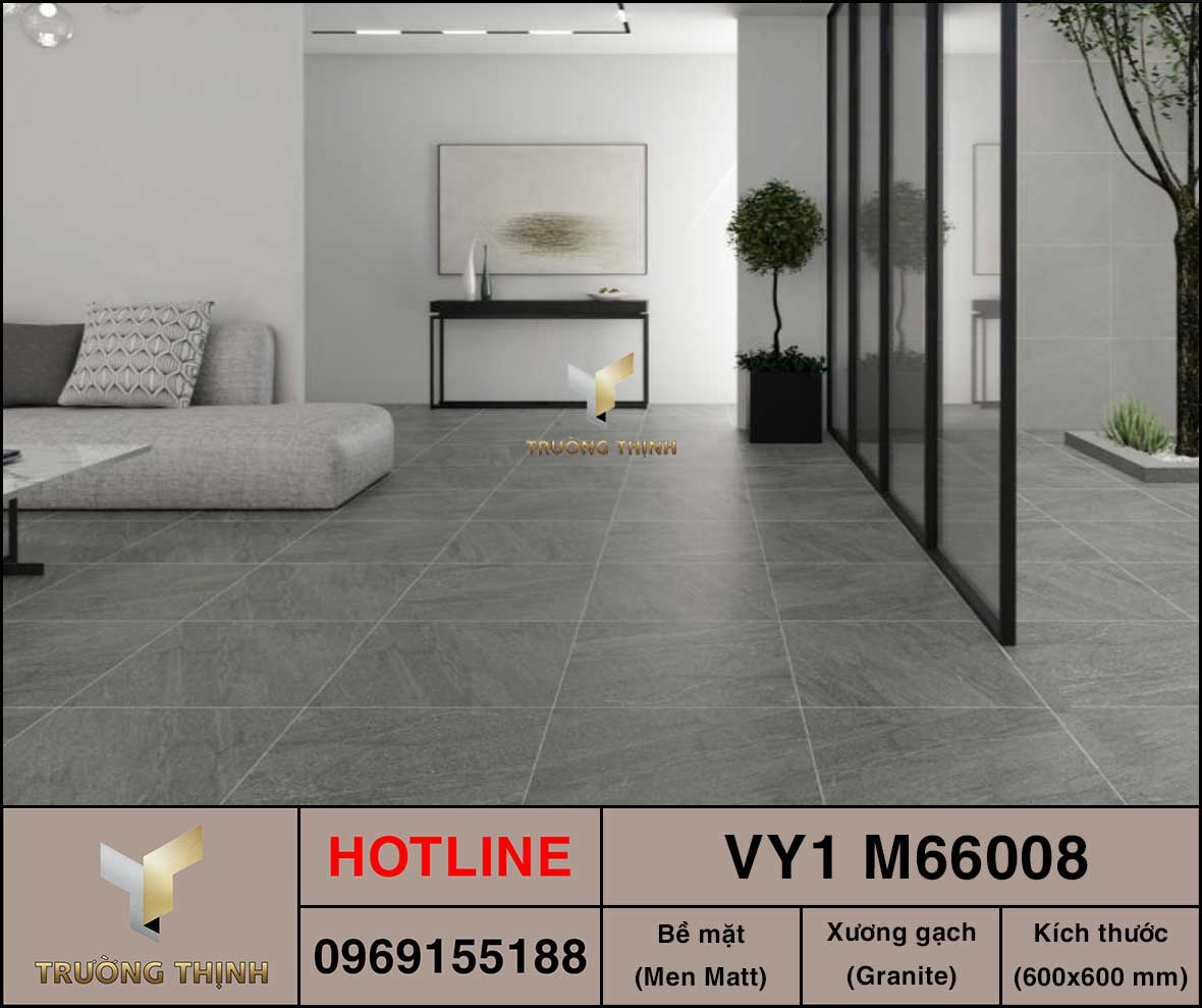 Gạch lát sàn granite 600x600 Việt Ý VY1 M66008