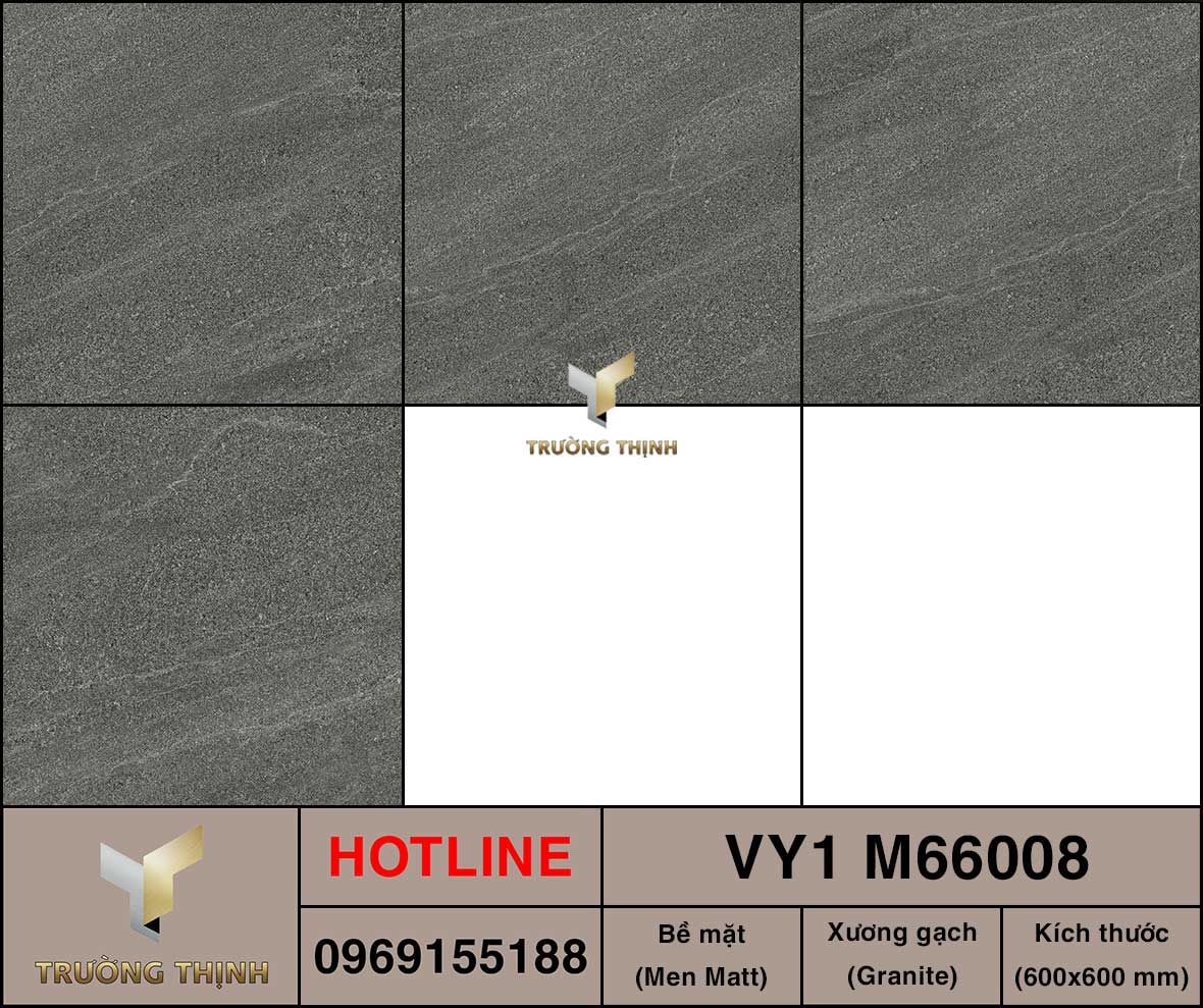 Gạch 600x600 Việt Ý VY1 M66008