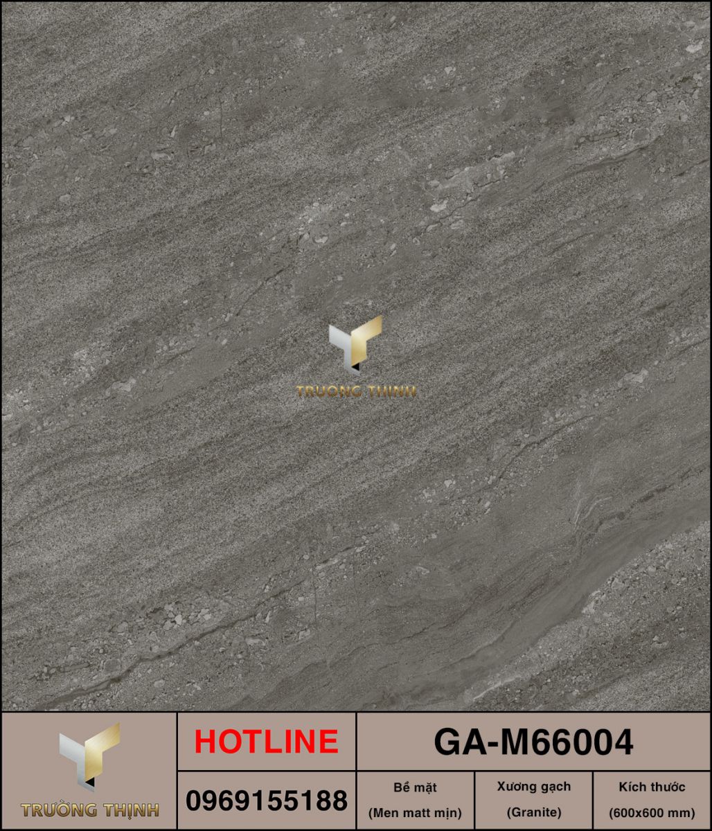 GA-M66004