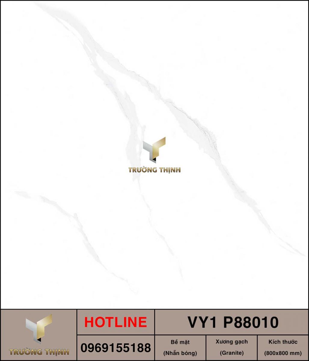 Gạch 800x800 Việt Ý VY1 P88010