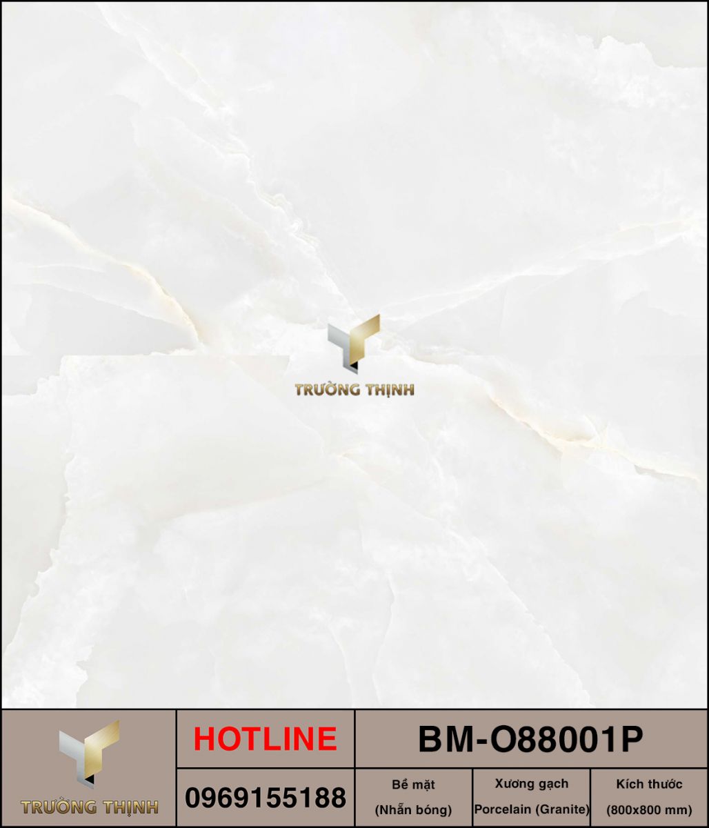 BM-O88001P