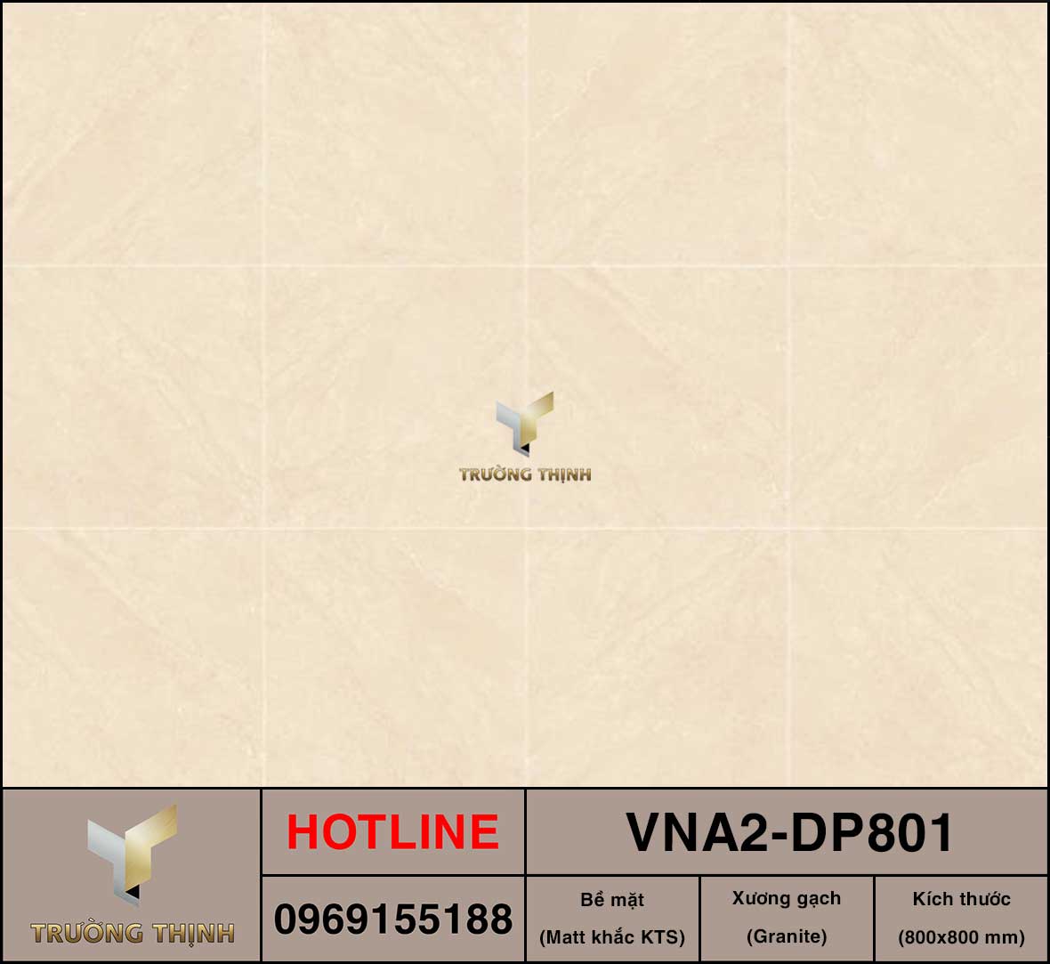 VNA2-DP801