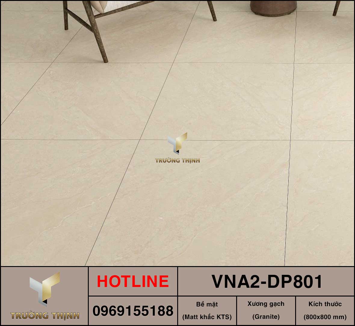 VNA2-DP801