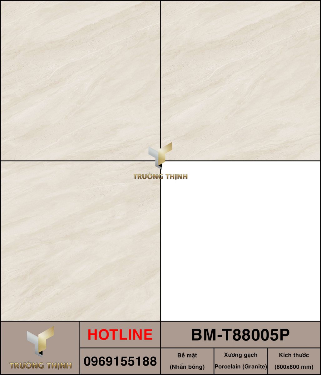 BM-T88005P