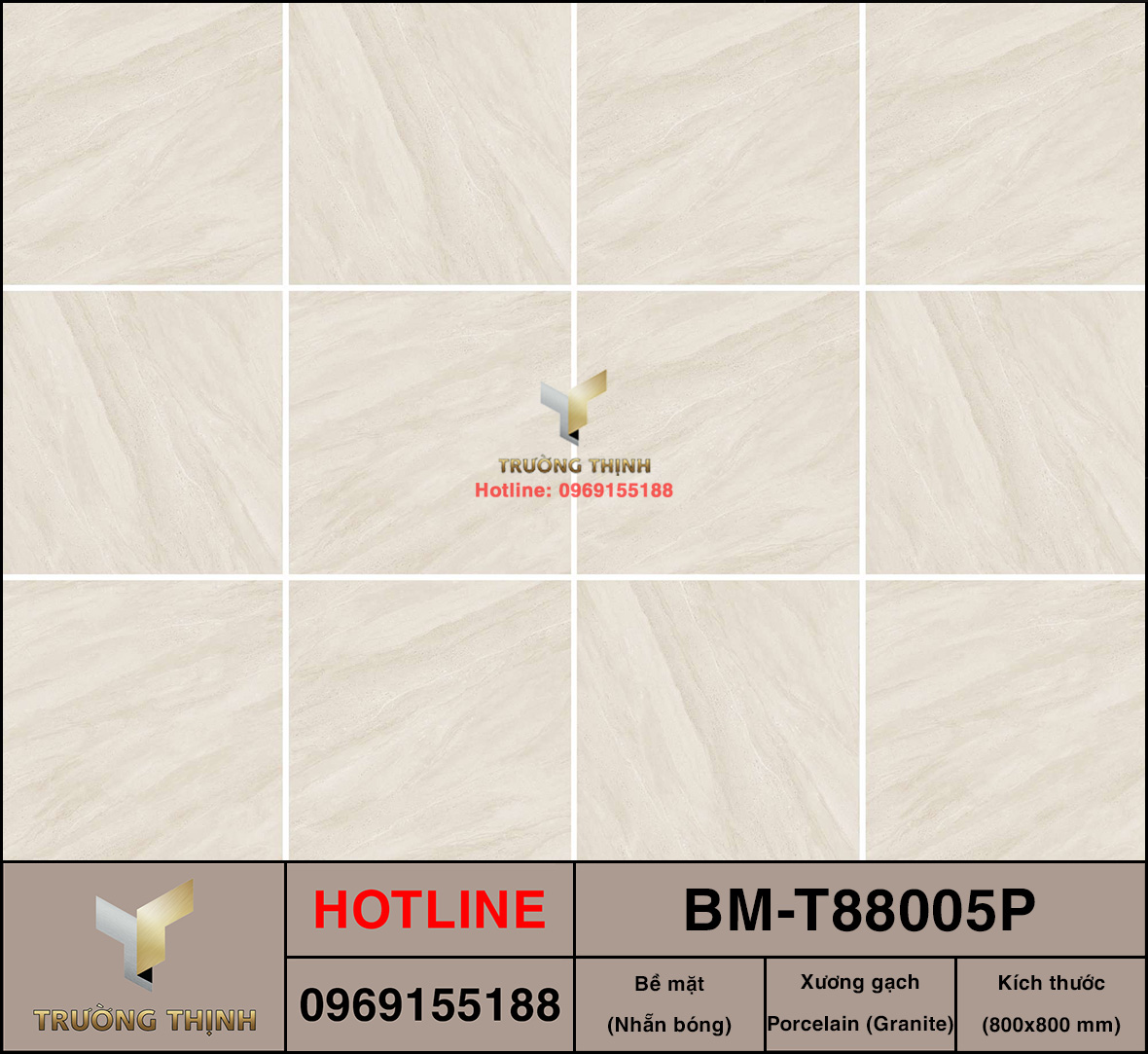 BM-T88005P