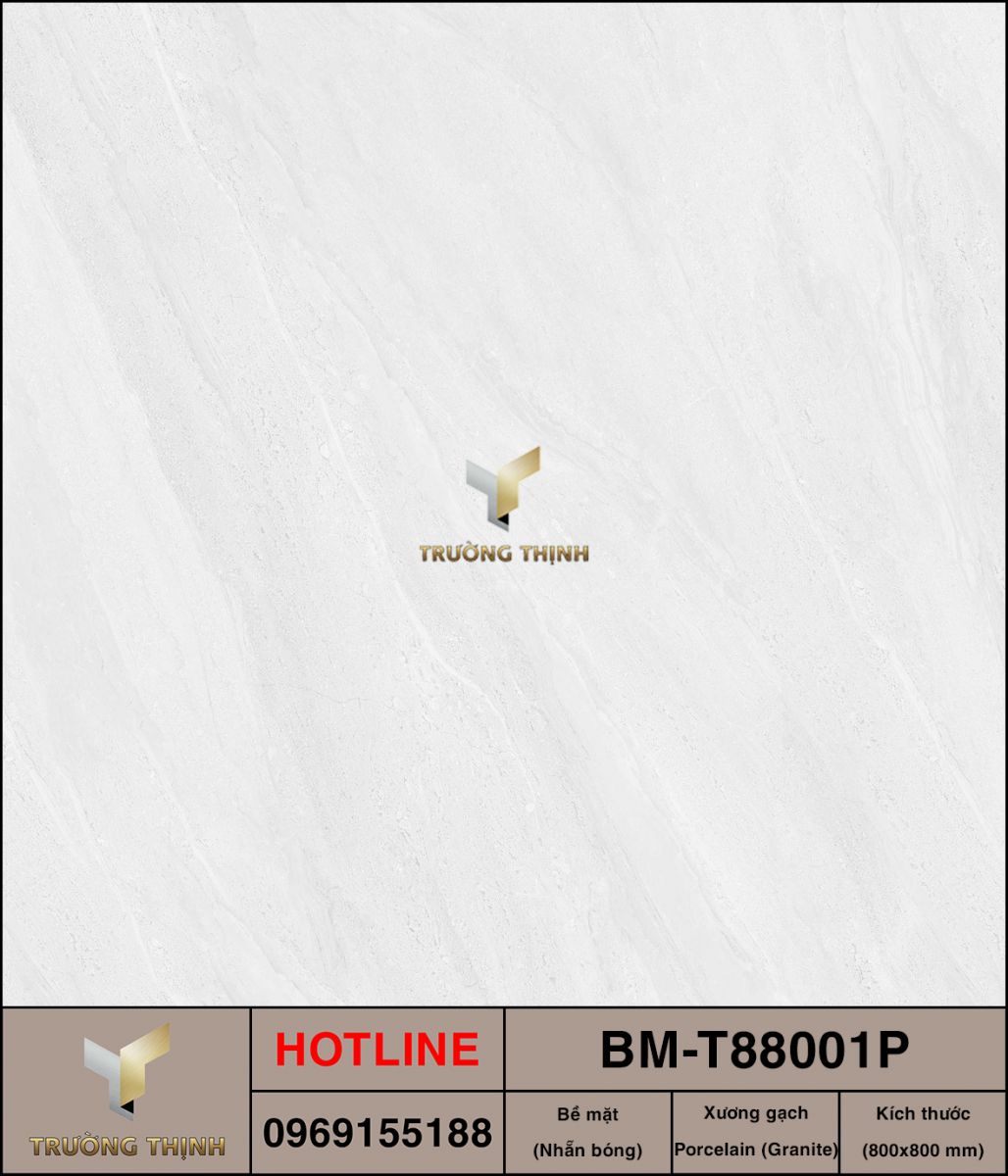 BM-T88001P