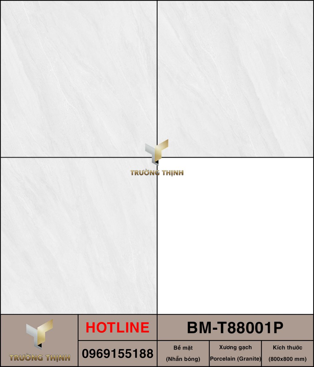 BM-T88001P