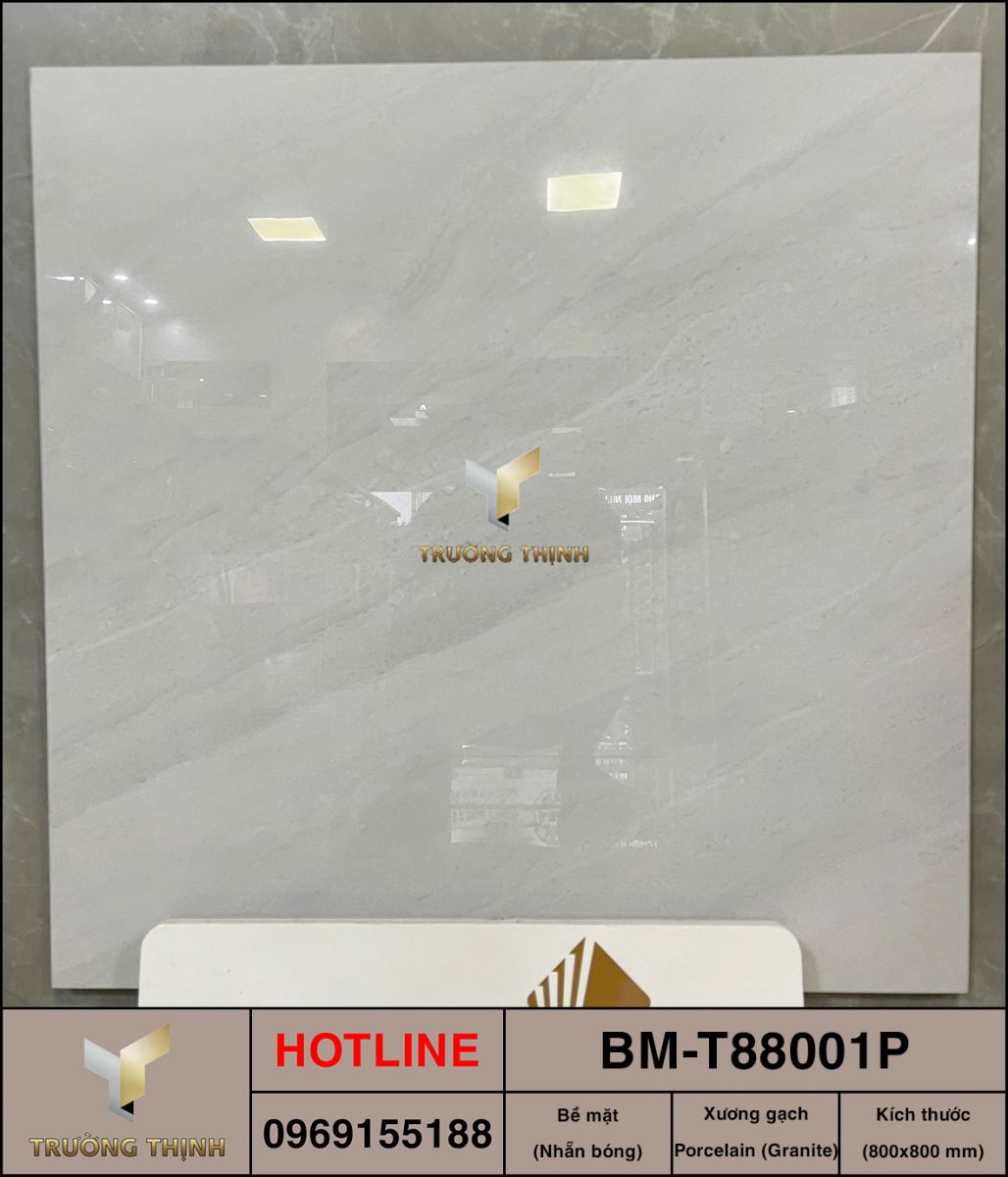 BM-T88001P