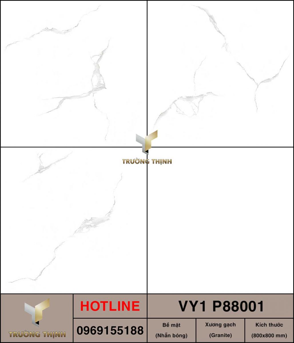 Gạch 800x800 Việt Ý VY1 P88001