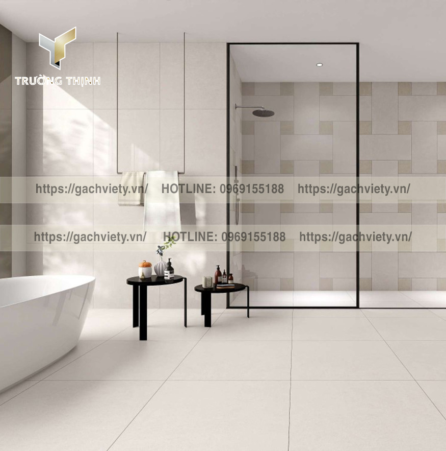 Gạch Porcelain (Granite) Việt Ý | Đa Dạng Kích Thước & Ứng Dụng | Trường Thịnh Group