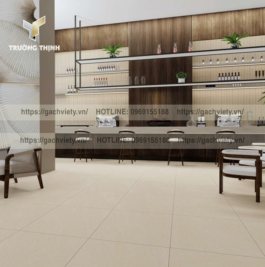 Gạch Porcelain (Granite) Việt Ý | Đa Dạng Kích Thước & Ứng Dụng | Trường Thịnh Group