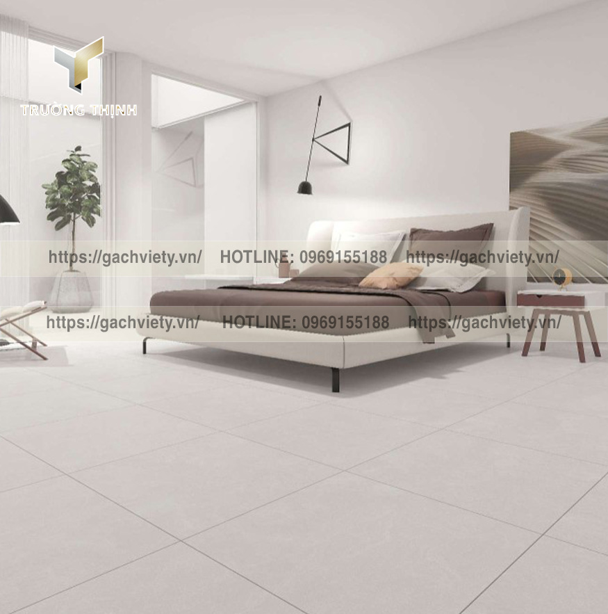 Gạch Porcelain (Granite) Việt Ý | Đa Dạng Kích Thước & Ứng Dụng | Trường Thịnh Group